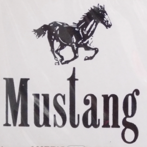 Mustang